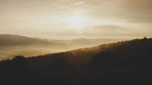 NWSL Match Highlights | Best Goals & Saves This Week